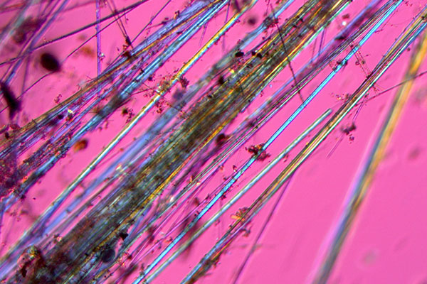 asbestos-assessment-bulk-samples